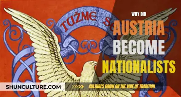 Austria's Nationalist Turn: Historical Factors and Context