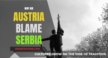 Serbia's Role in the Assassination of Archduke Ferdinand