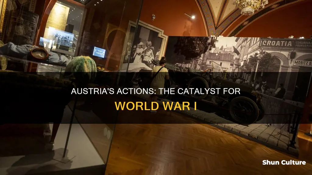 why did austria caused world war 1