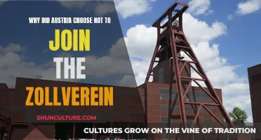 Austria's Zollverein Snub: Economic or Political Decision?