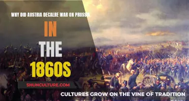 Austria's War on Prussia: 1860s Conflict Explained