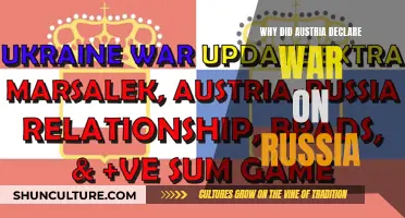 Austria's War Declaration on Russia: Historical Analysis