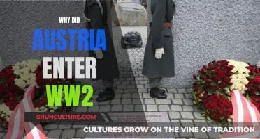 Austria's Entry into WWII: Understanding the Complex Motives