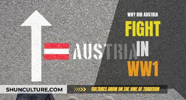 Austria's World War I: Why Did They Fight?