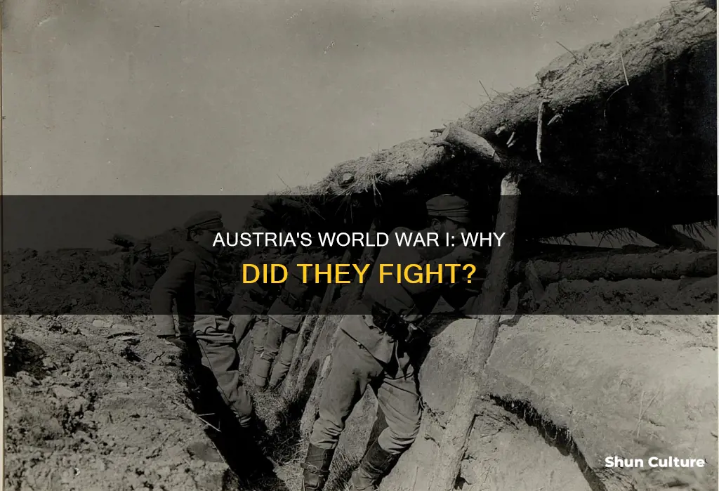 why did austria fight in ww1