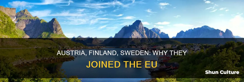 why did austria finland and sweden join eu