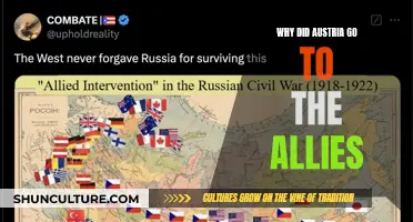 Austria's Strategic Alliance Shift: Why They Joined the Allies
