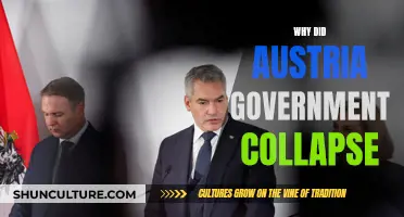 Austria's Government Collapse: What Led to the Downfall?