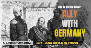 Austria-Hungary's German Alliance: Historical Origins and Context