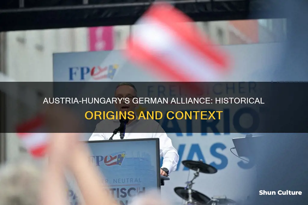 why did austria hungary ally with germany