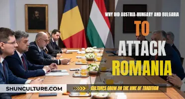 Romania's Enemies: Austria-Hungary and Bulgaria's Attack Motives