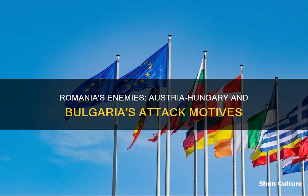 why did austria-hungary and bulgaria to attack romania