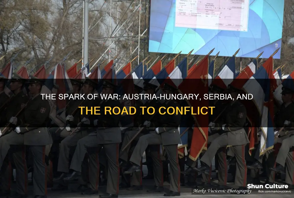 why did austria hungary and serbia go to war