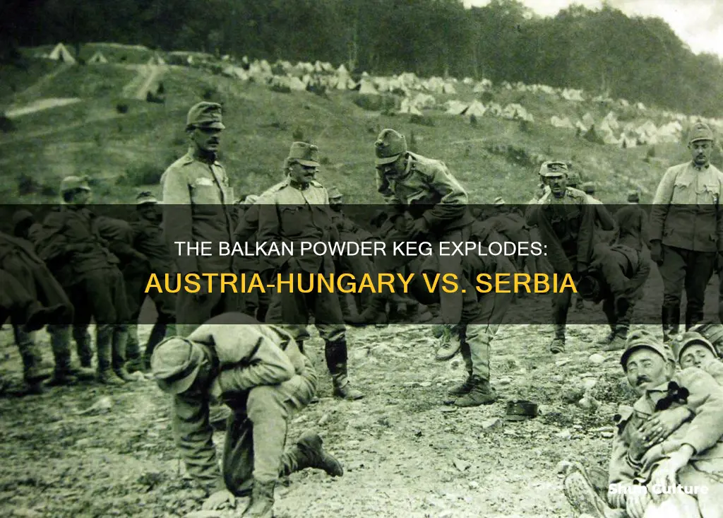 why did austria hungary and serbia go to war