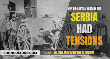 The Balkan Powder Keg: Austria-Hungary and Serbia's Strained Relations