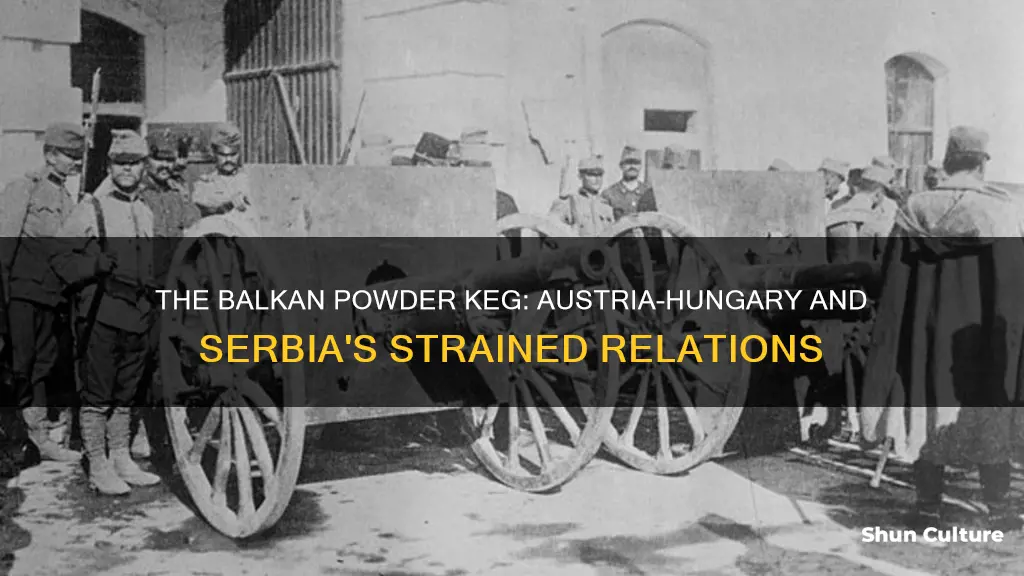 why did austria-hungary and serbia had tensions