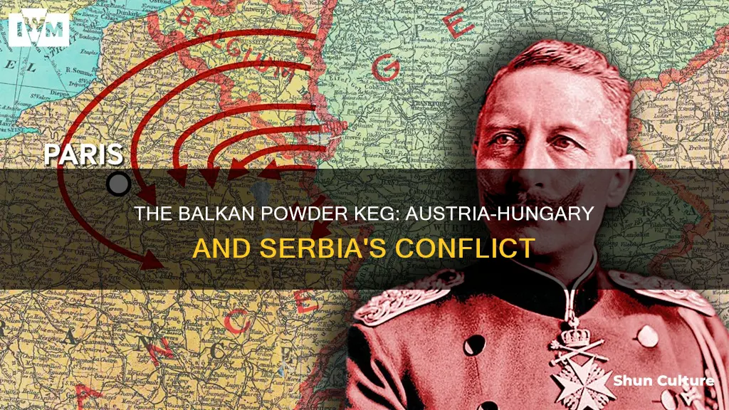 why did austria hungary and serbia not get along