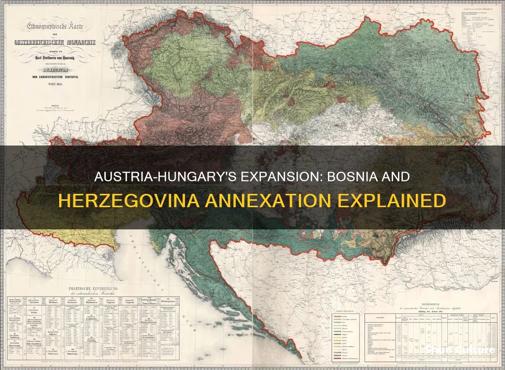 why did austria hungary annex bosnia and herzegovina