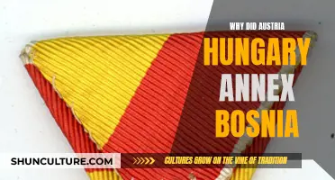 Austria-Hungary's Annexation of Bosnia: Imperial Ambitions and Geopolitics