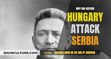 The Balkan Powder Keg: Austria-Hungary's Attack on Serbia
