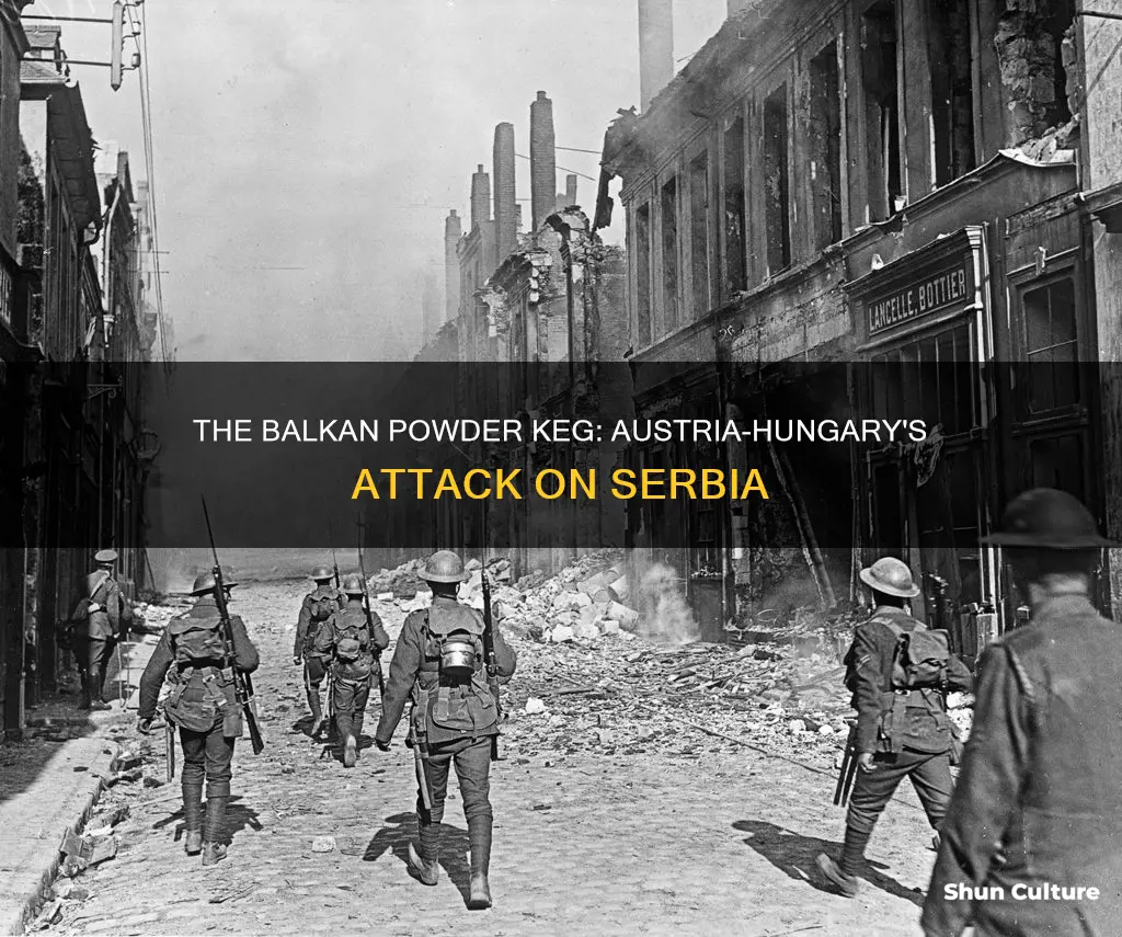 why did austria hungary attack serbia