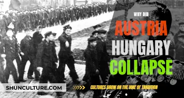 Collapse of Austria-Hungary: What Led to Its Downfall?