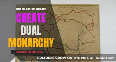 Austria-Hungary's Dual Monarchy: Power and Compromise