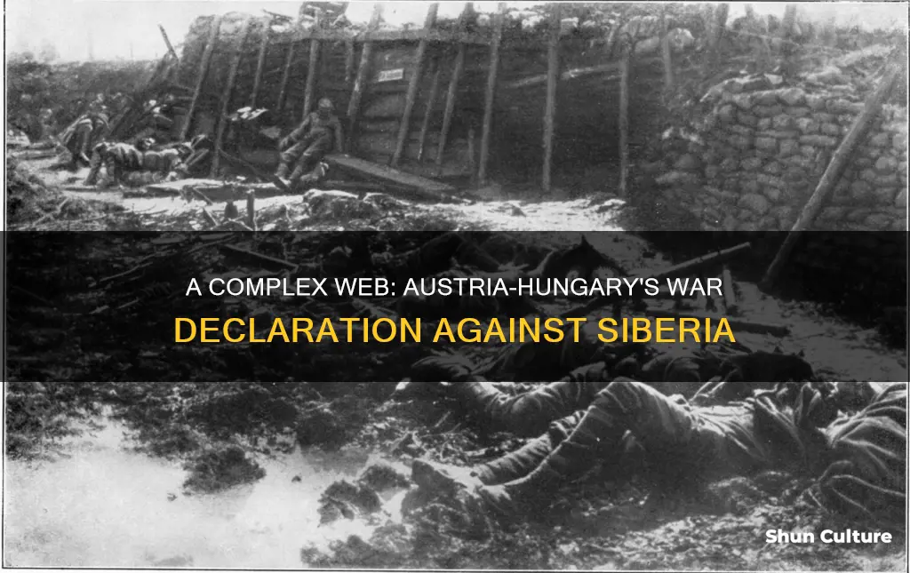 why did austria hungary declare war n siberia