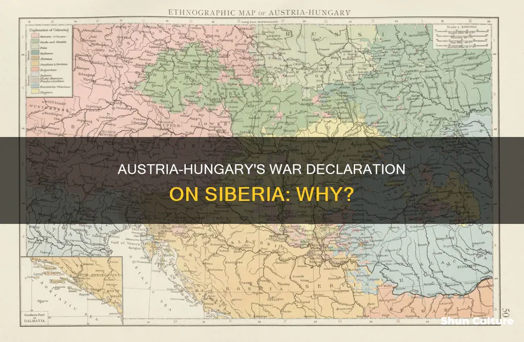 why did austria hungary declare war n siberia