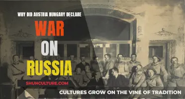 Austria-Hungary's War Declaration on Russia: Why?