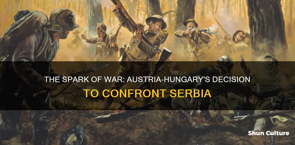 why did austria hungary declare war