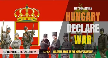 The Complex Reasons Behind Austria-Hungary's War Declaration