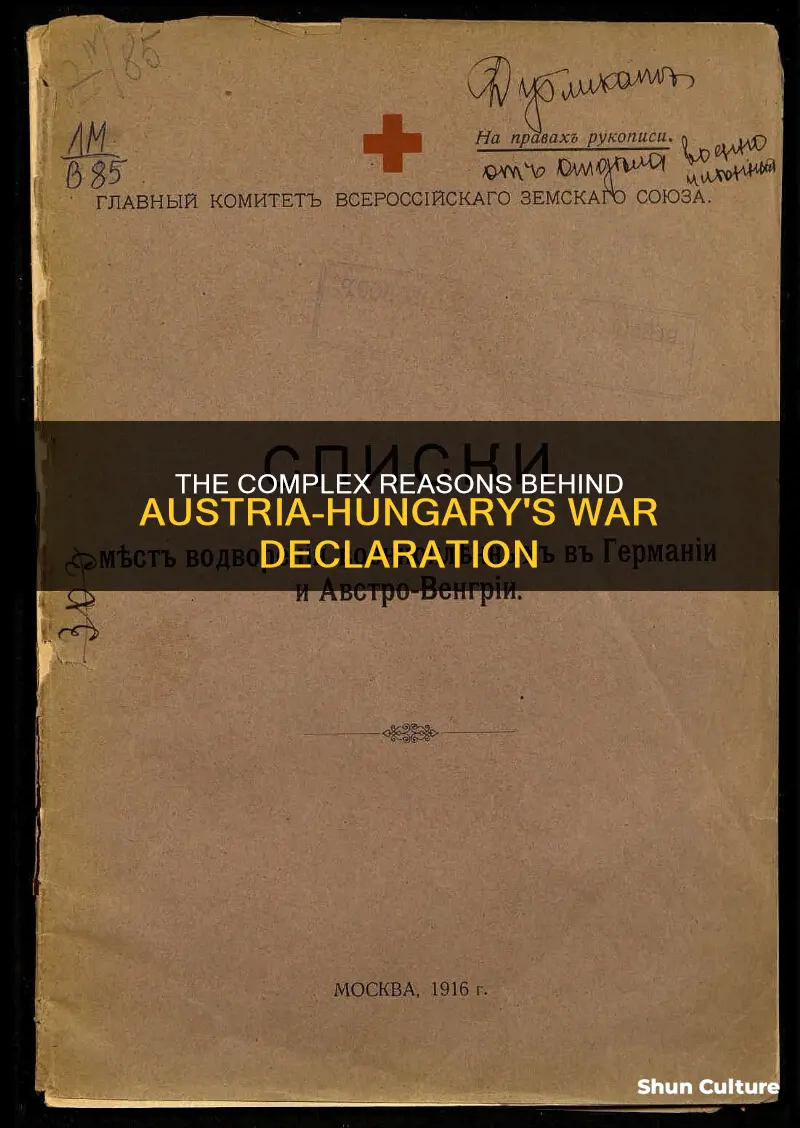 why did austria hungary declare war