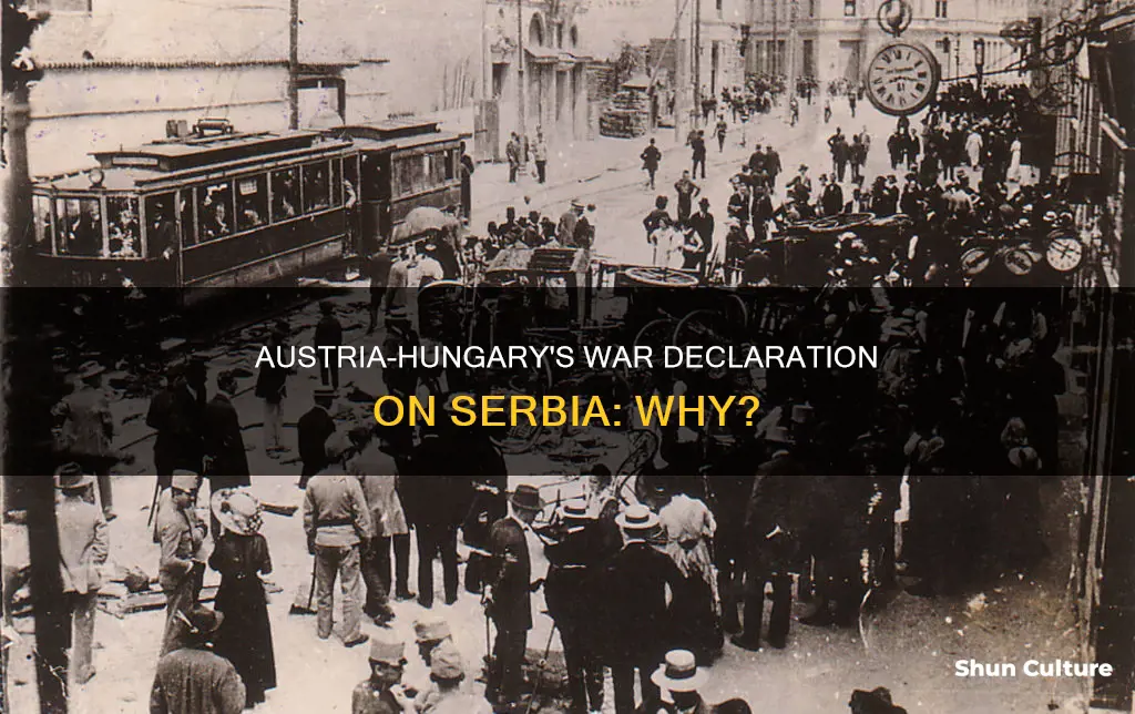 why did austria hungary declared war on serbia