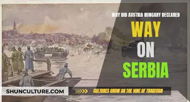Austria-Hungary's War Declaration: Serbia's Fate