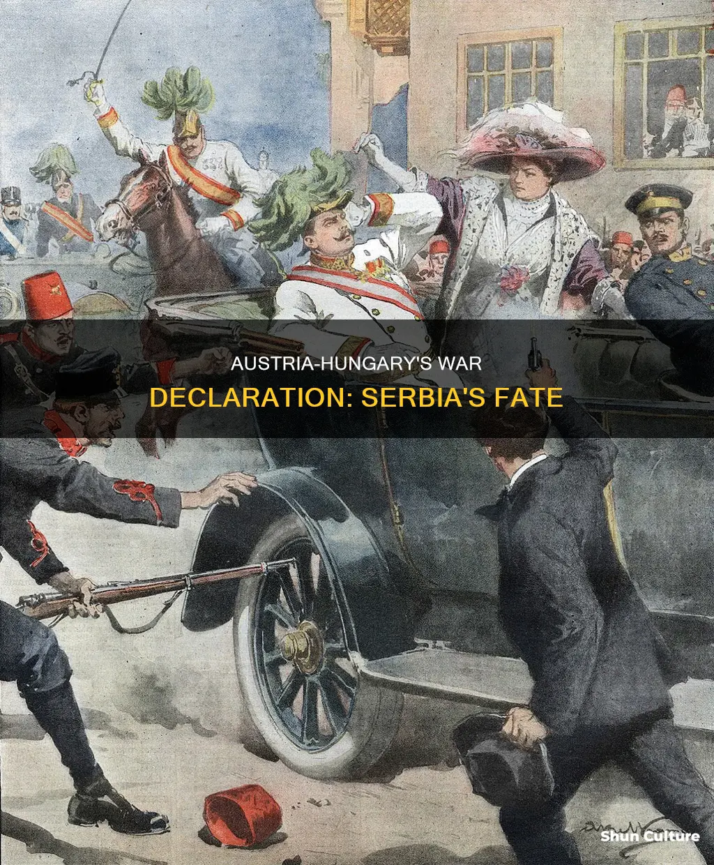 why did austria hungary declared way on serbia