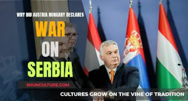 Austria-Hungary's War Declaration on Serbia: Why?