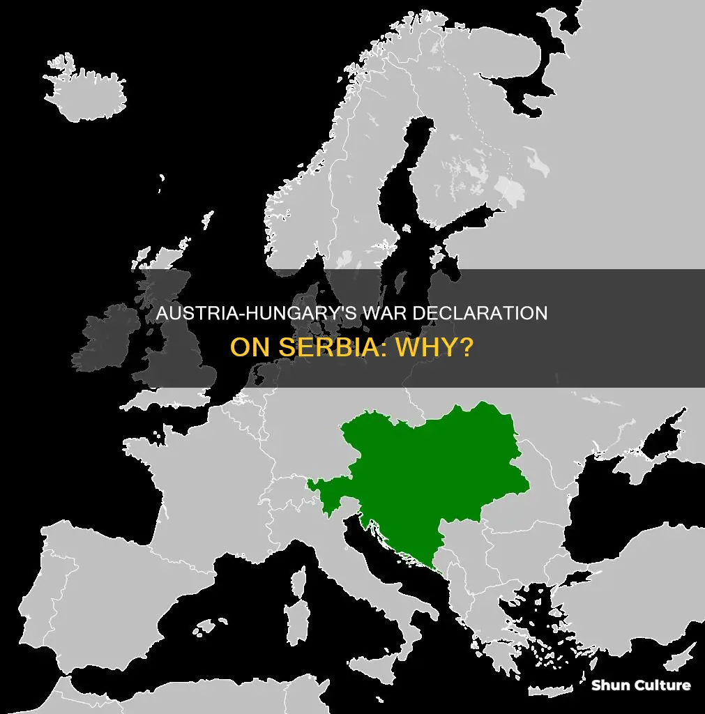 why did austria hungary declares war on serbia