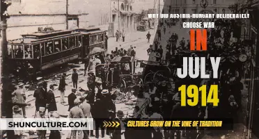 Austria-Hungary's War Decision: July 1914