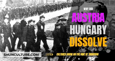 The Unraveling of Austria-Hungary: A Complex History