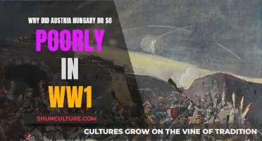 Austria-Hungary's World War I: A Recipe for Disaster