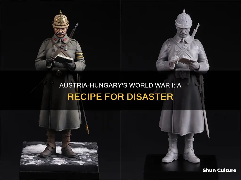 why did austria hungary do so poorly in ww1