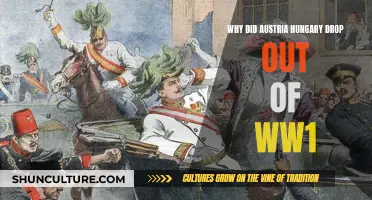 Austeria-Hungary's Exit: The Complex Factors Behind the Withdrawal