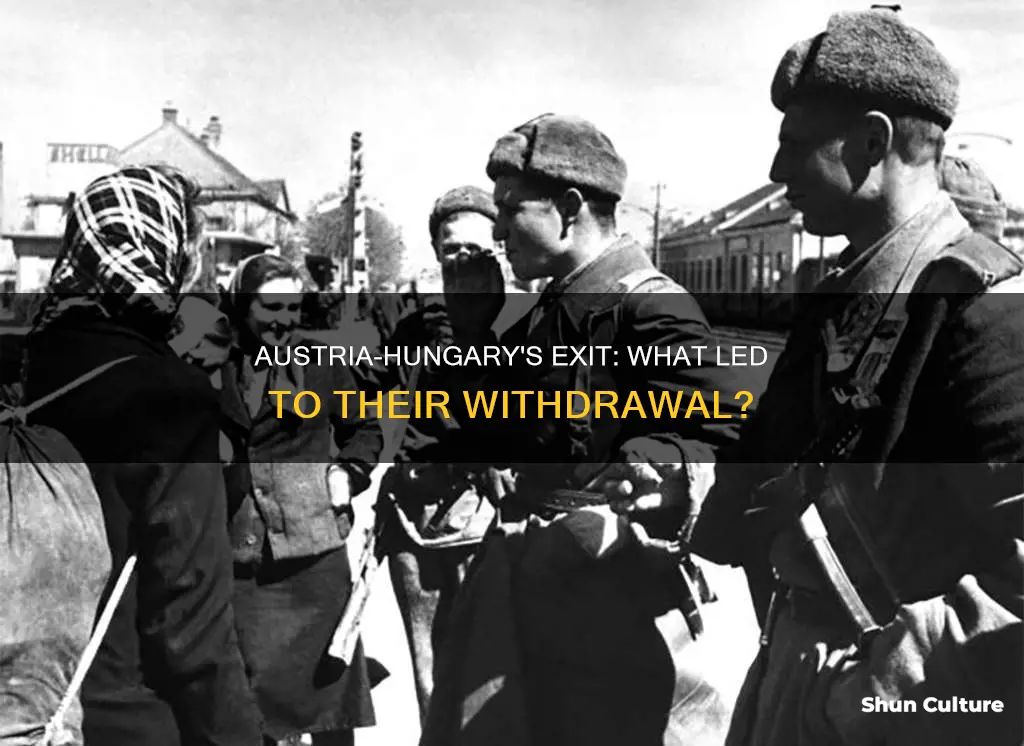 why did austria hungary drop out of ww1