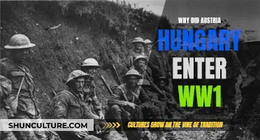 A Complex Web: Austria-Hungary's Descent into World War I