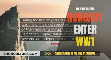 Austria-Hungary's Entry into World War I Explained