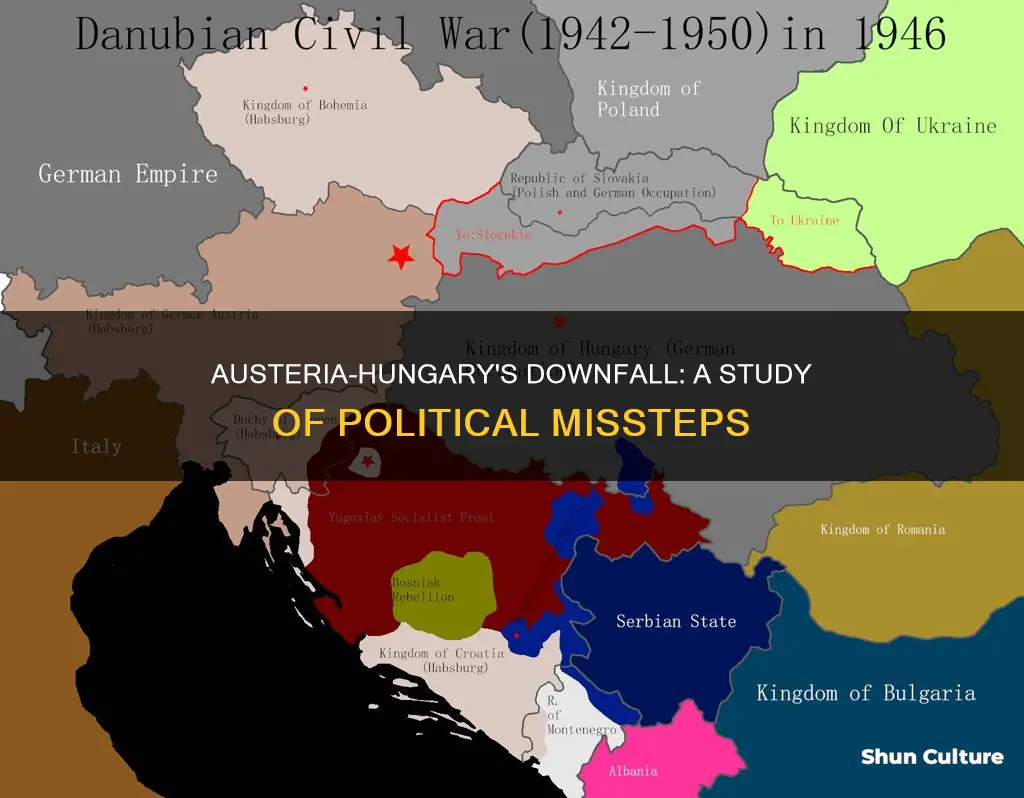 why did austria hungary fail