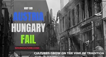 The Fall of Austria-Hungary: Why It Collapsed