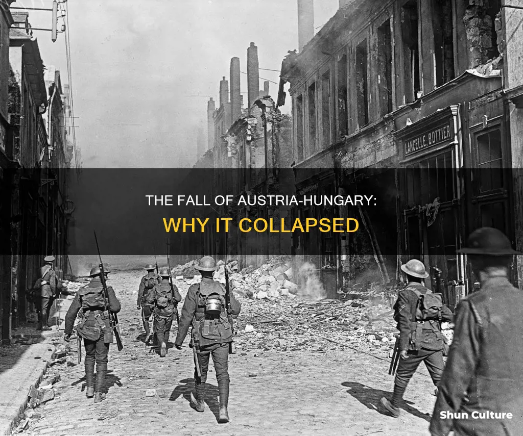 why did austria hungary fail