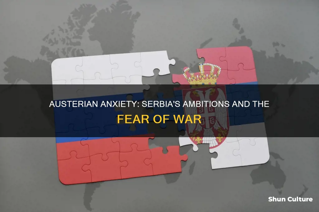 why did austria hungary fear serbia